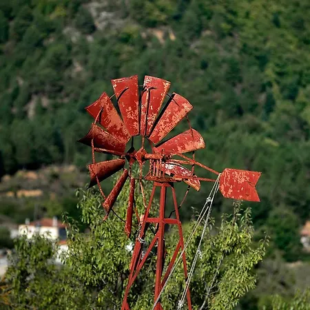 Eleni Country 1 * Feneos
